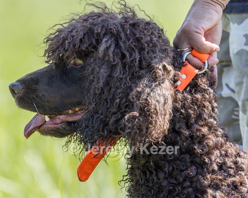 Ghillie Kezer