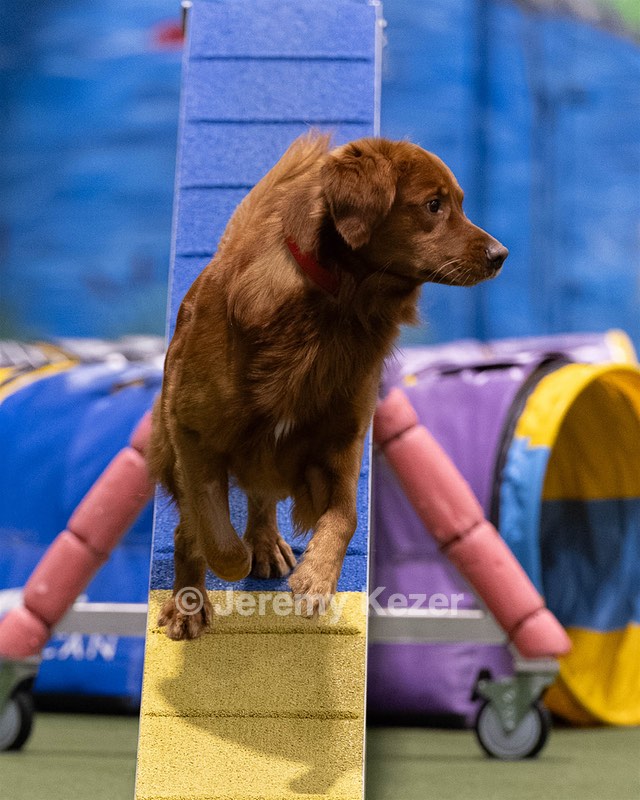 20260221-0916.jpg