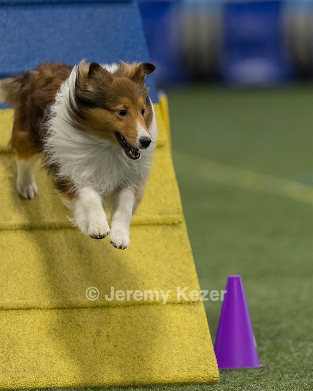 TyCoon Brown