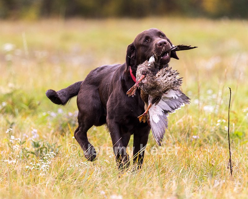 Gunny Fisher