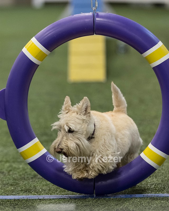 Monty Krapf