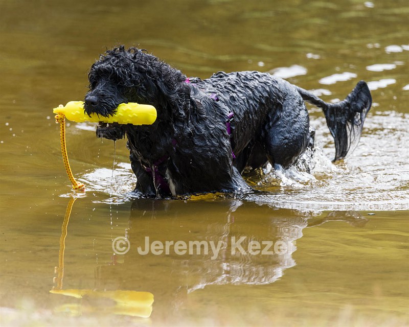 Winnie Patrice