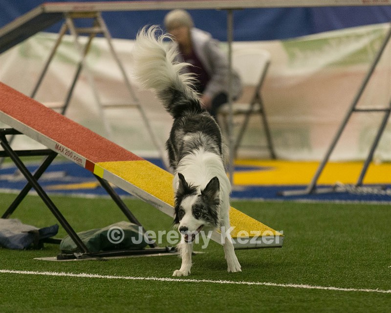 20150321-LEAP-0559.jpg