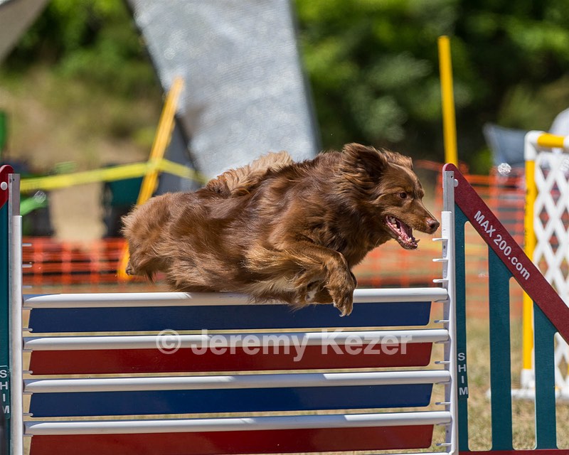 20160619-CCKC-1323.jpg