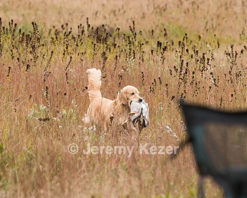 Addy