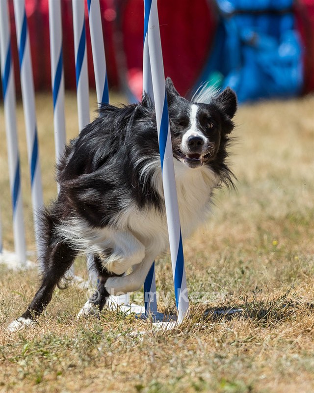 20160618-CCKC-1527.jpg