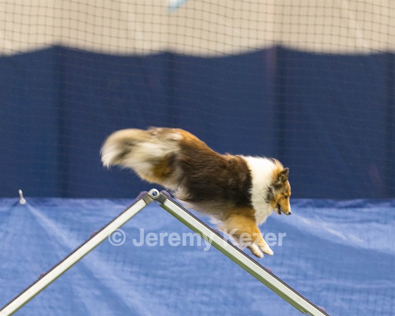 20150321-LEAP-1716.jpg