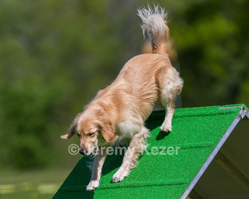 Ollie Erbe