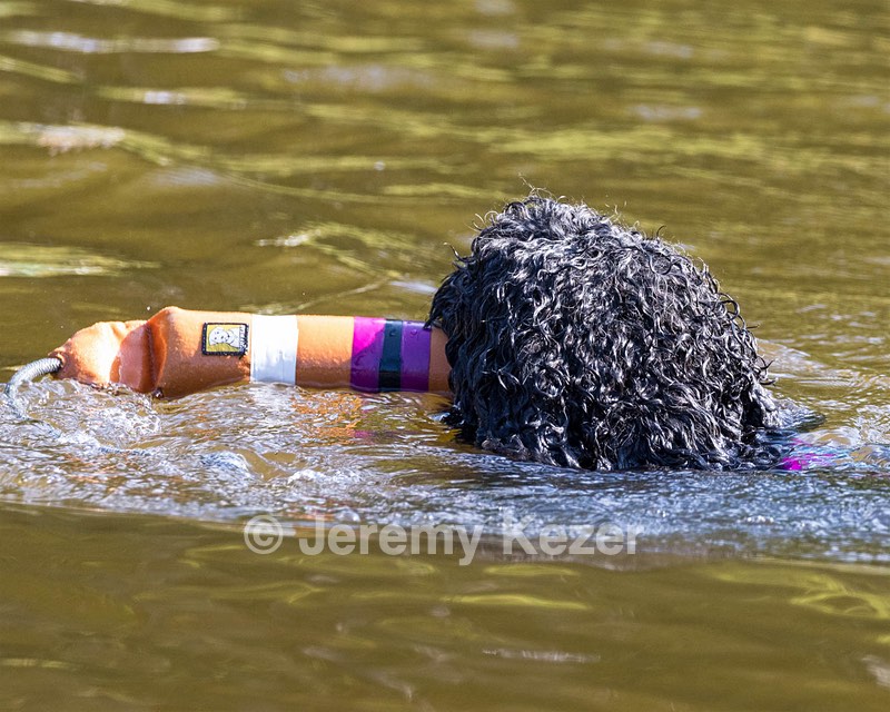 Perry