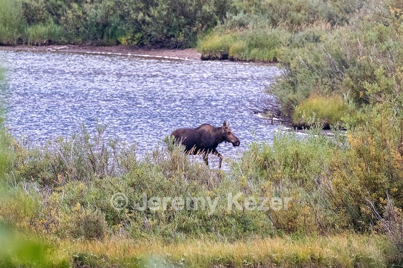 Glacier National Park