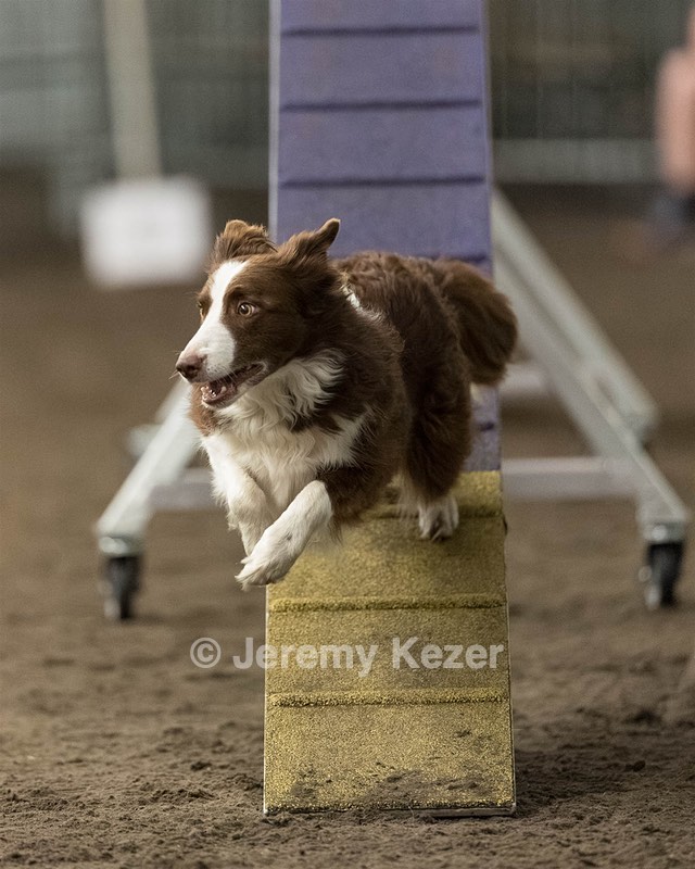 Ruff Bettler