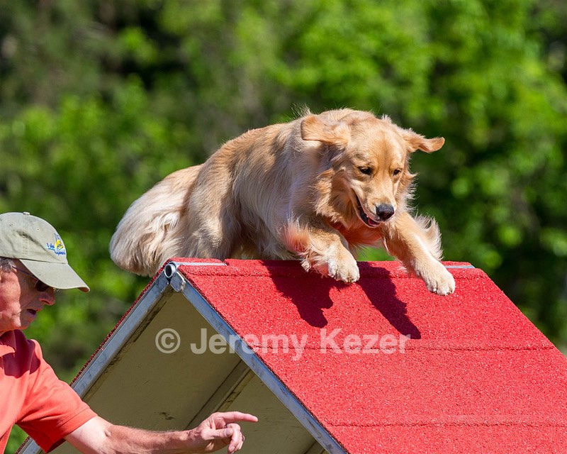20190615-CCKC-0146.jpg