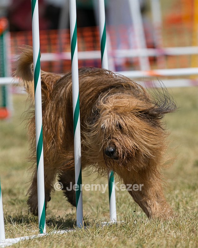 20150614-CCKC-1768.jpg