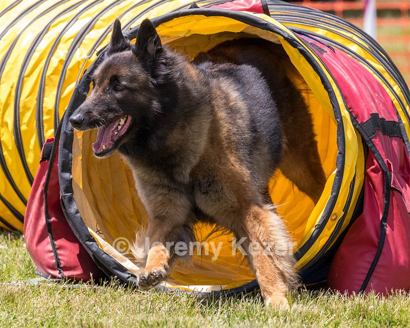 20180616-0676.jpg