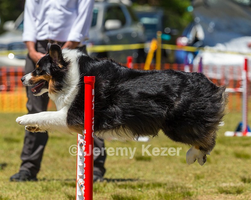Kona Destremps