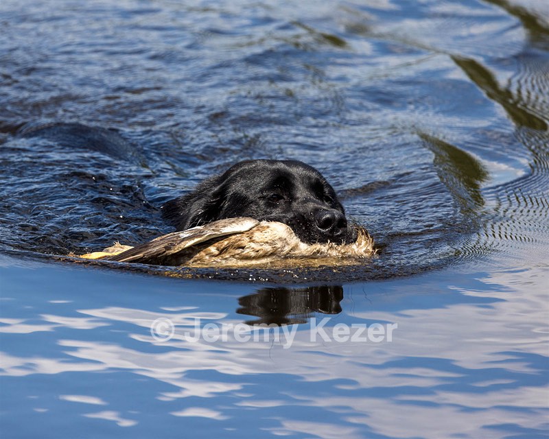 Skye Uhlman