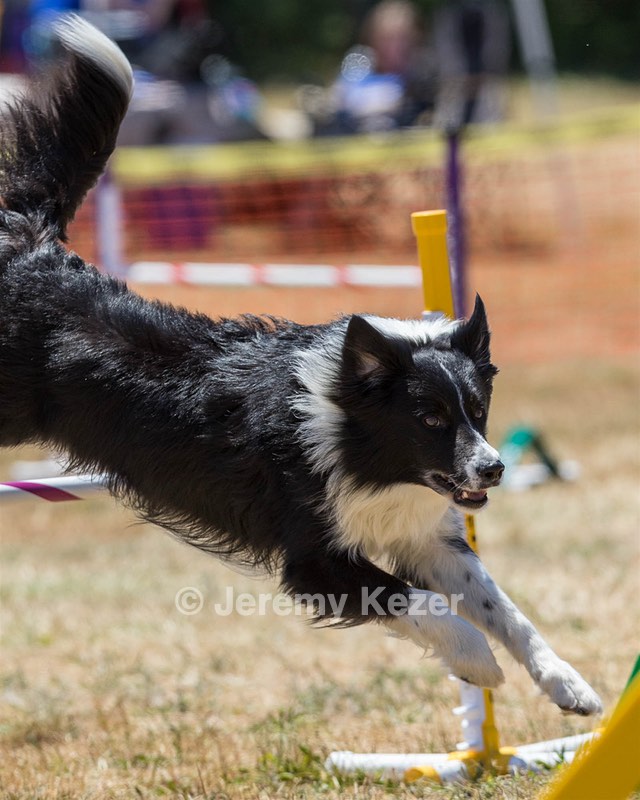 20160618-CCKC-1573.jpg