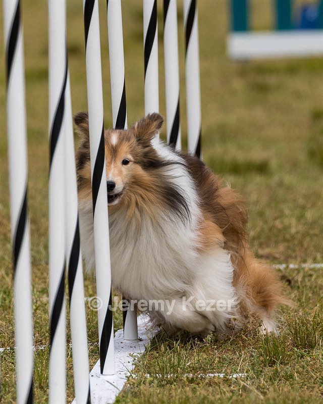 20190616-CCKC-1124.jpg