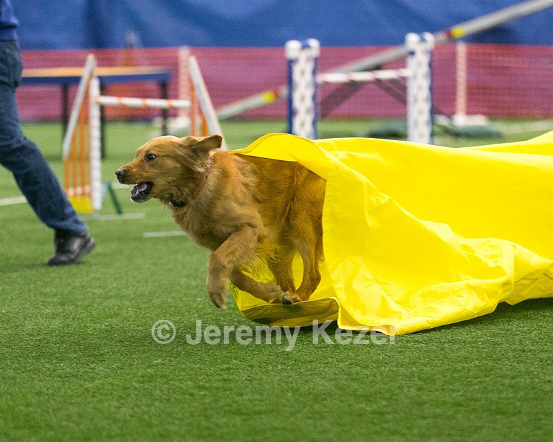20150322-LEAP-0621.jpg