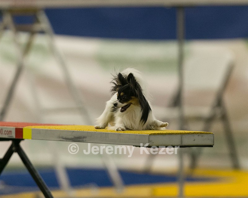 20150321-LEAP-1736.jpg
