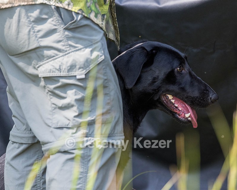 Ziva Jefferson