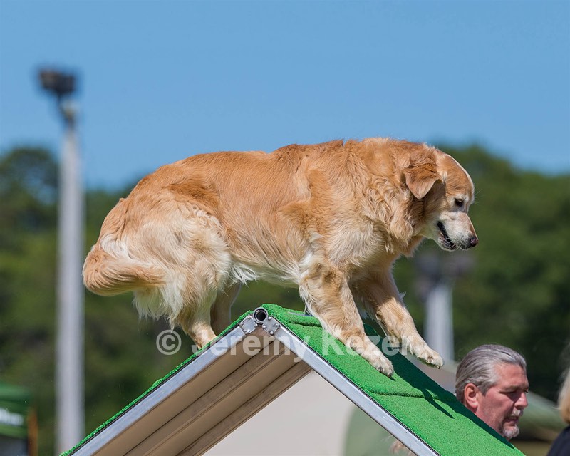 Odie Seney