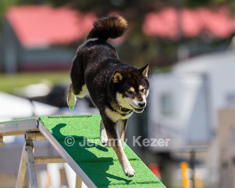 20180617-1416.jpg