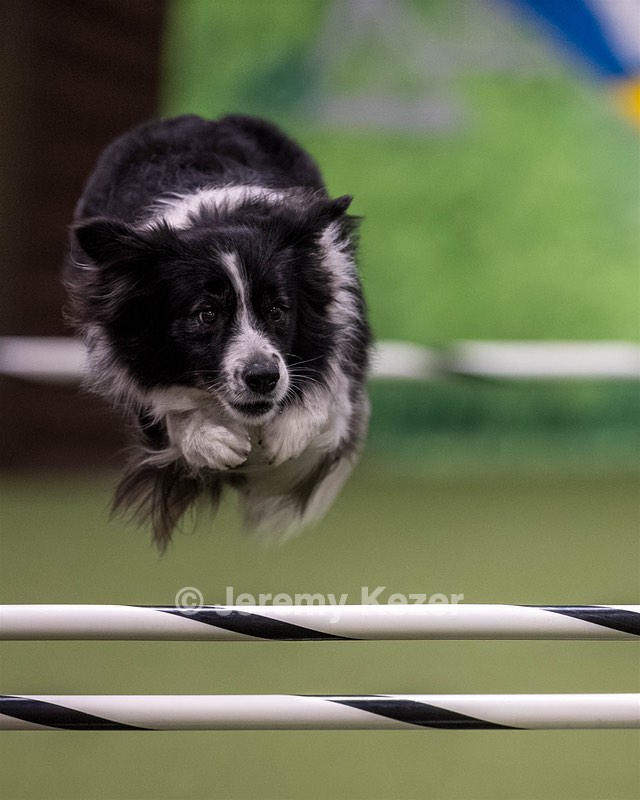 Breeze Schunk