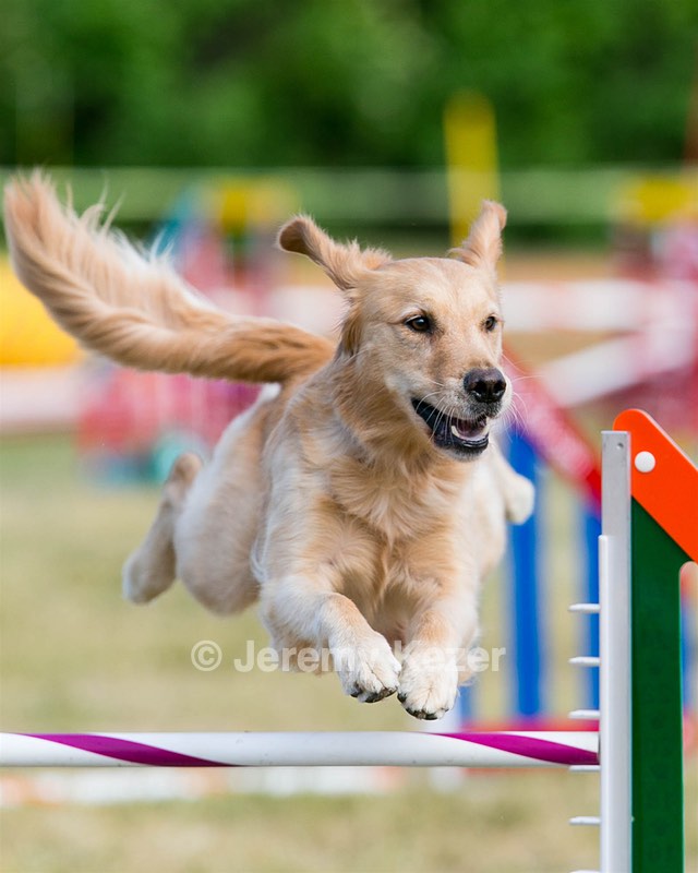 20150614-CCKC-0014.jpg