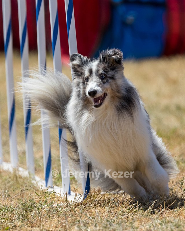 20160618-CCKC-1927.jpg
