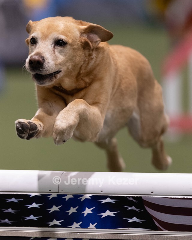20260221-0112.jpg
