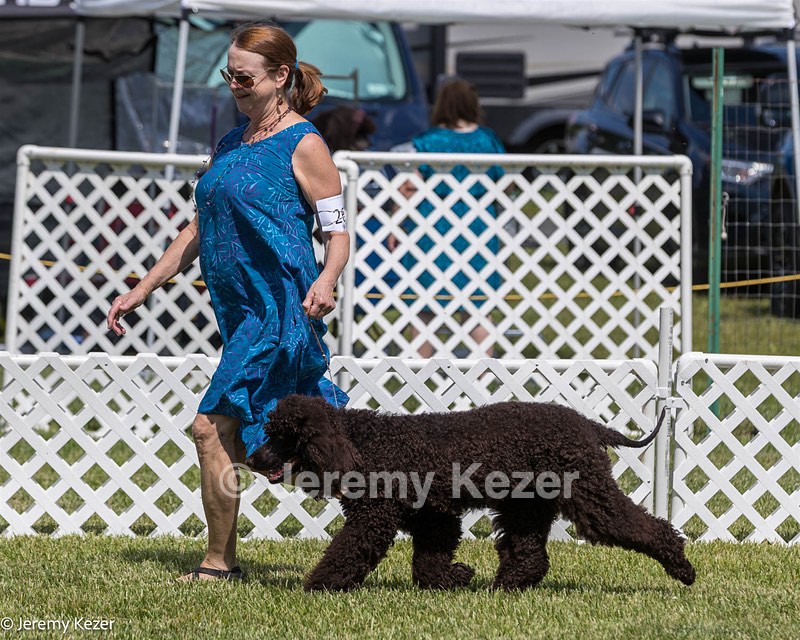 26 - Riverdance Enya Of Lake Alexander