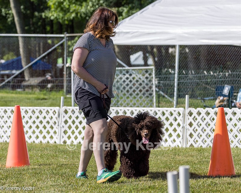 09 - GCH CH Brekkon's First Mark BN RN CGC TKN