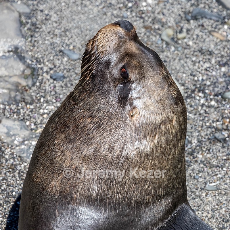 20191213-0124.jpg