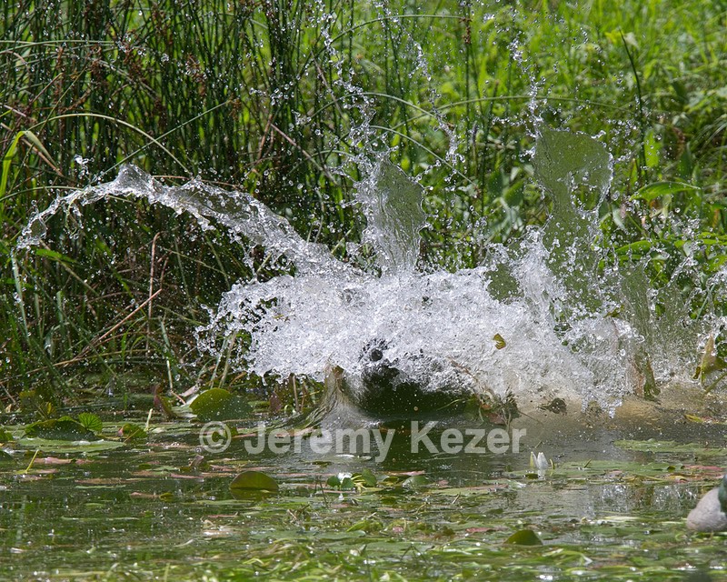 20130810-JHW-0318.jpg