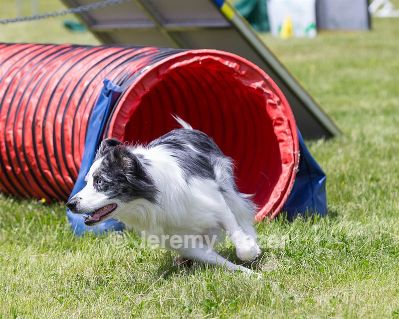 20160514-NEAT-0681.jpg