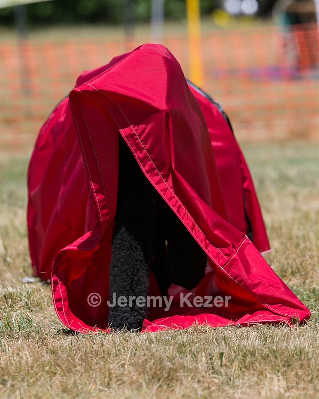 20150613-CCKC-0255.jpg