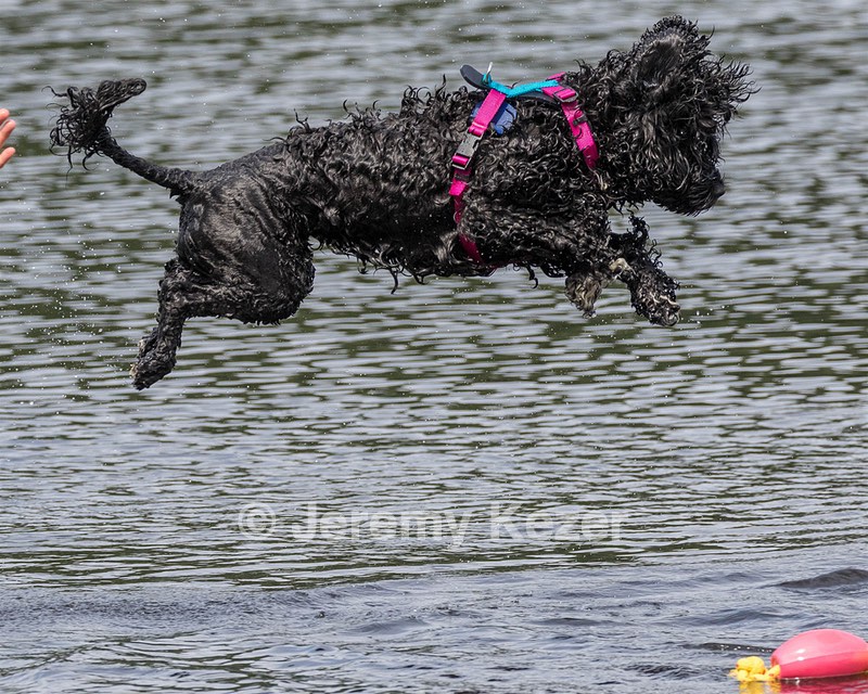 "Mistral" & Tobi-Ann