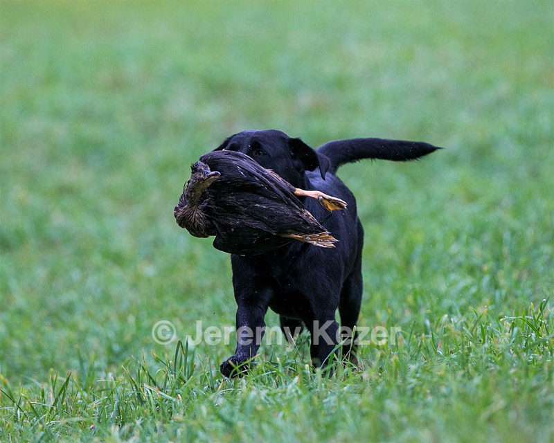 20150913-SEAL-0360.jpg