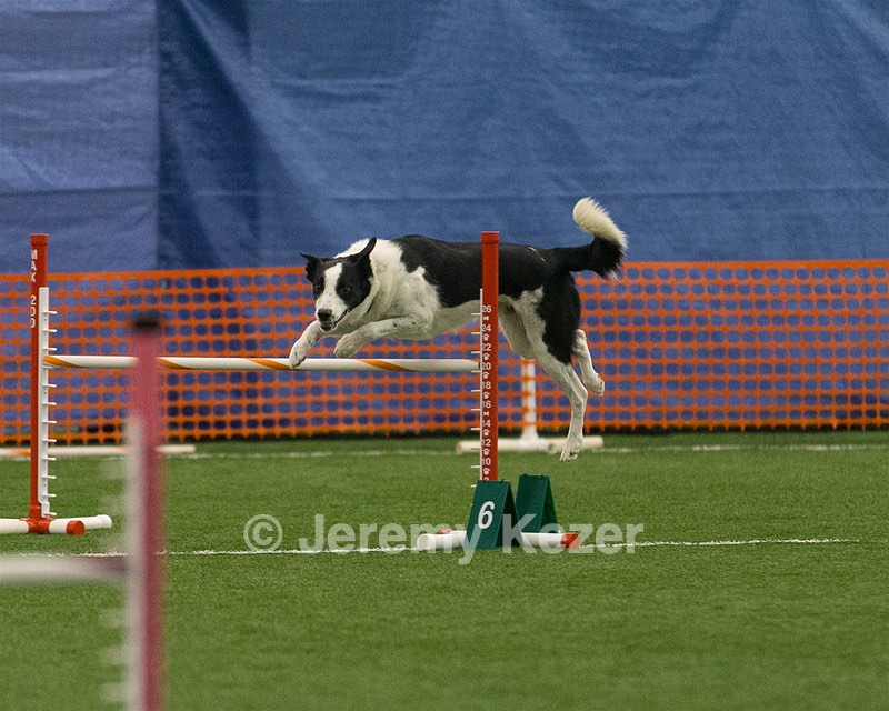 20150321-LEAP-0450.jpg