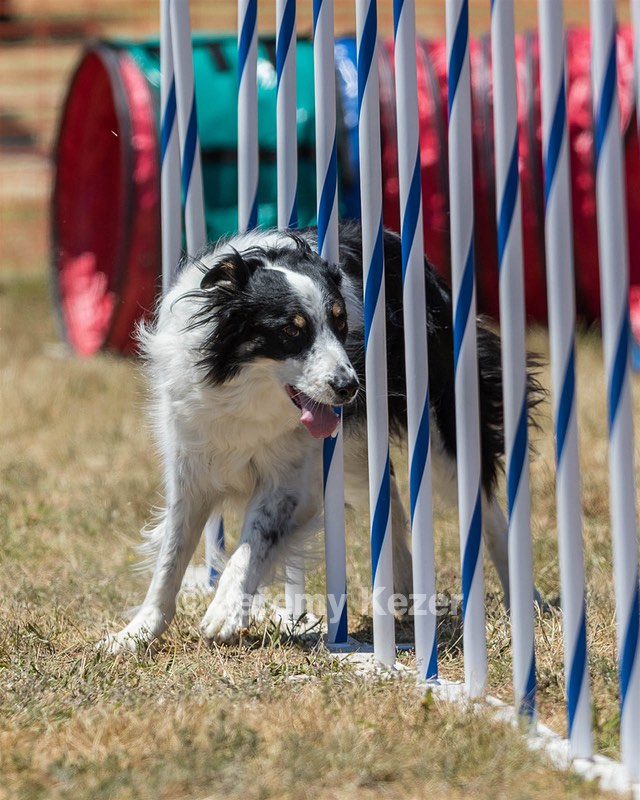 20160618-CCKC-1448.jpg