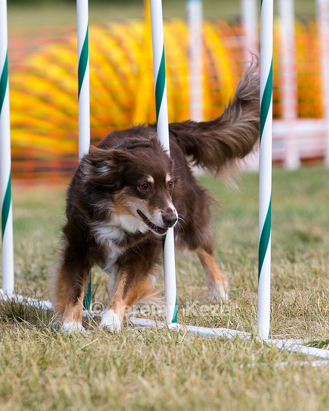 20150614-CCKC-0073.jpg