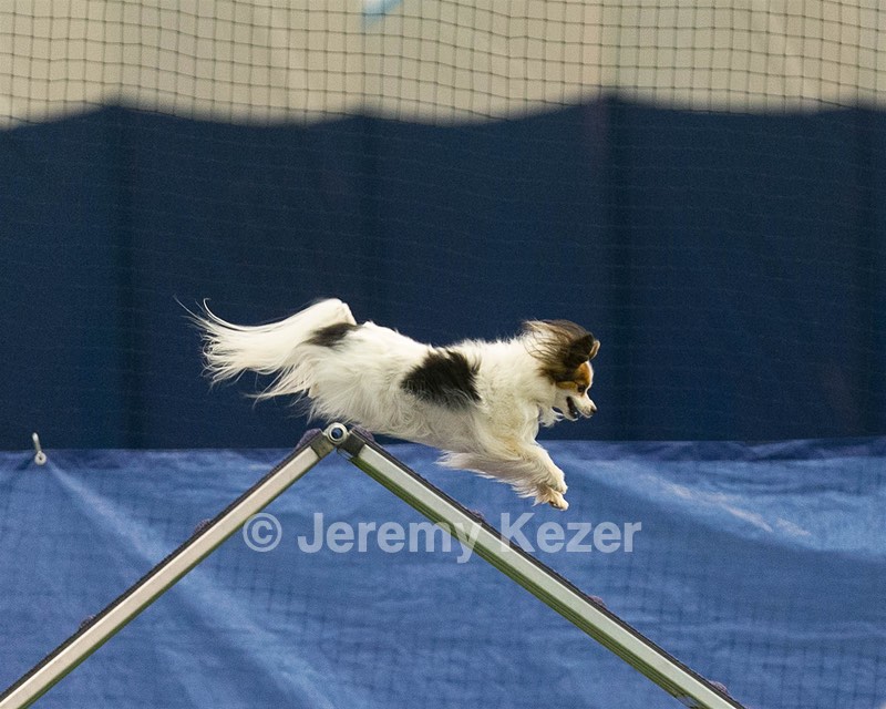 20150321-LEAP-1642.jpg