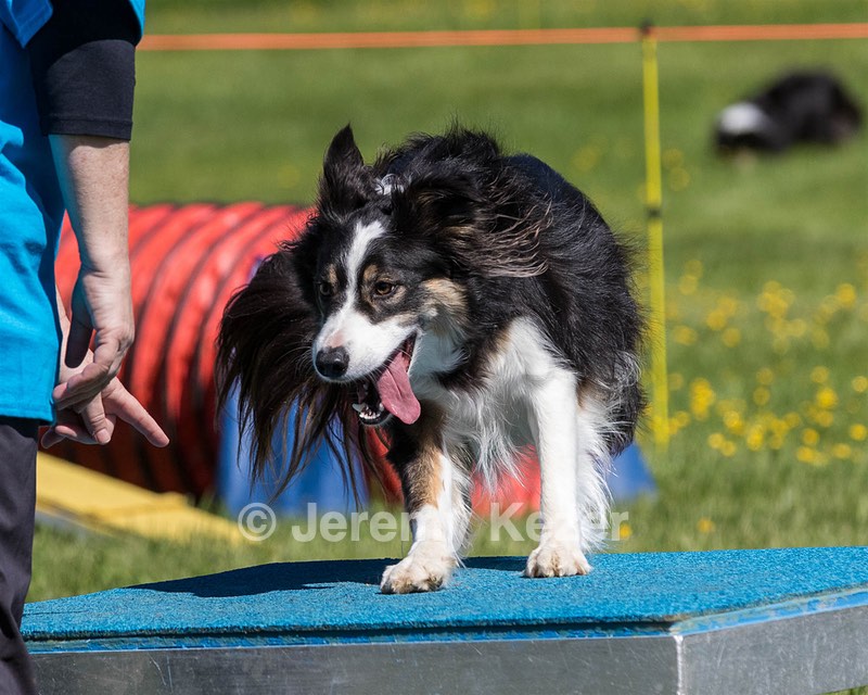 Pip Spiero