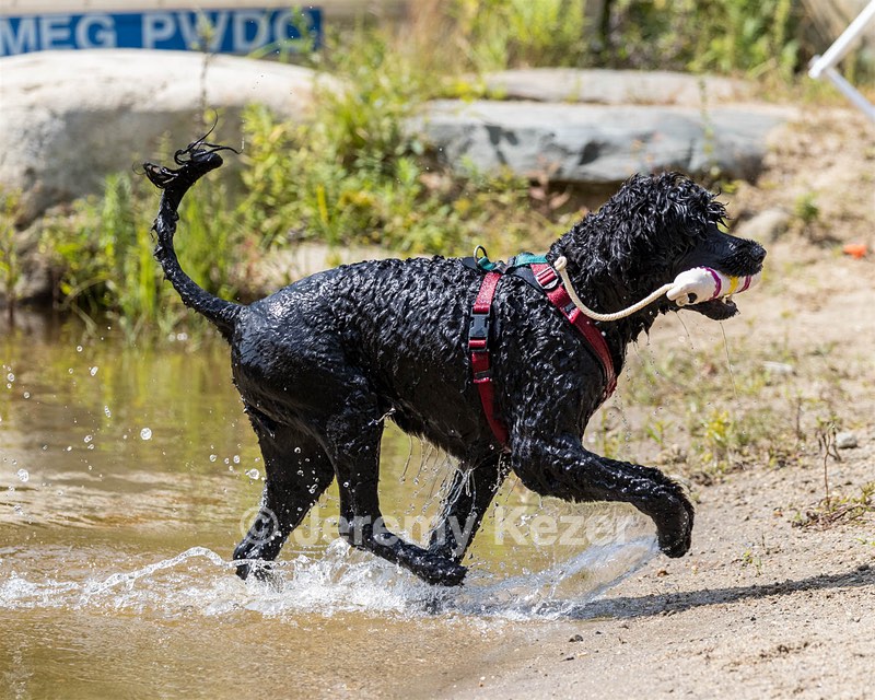 Rio Peter