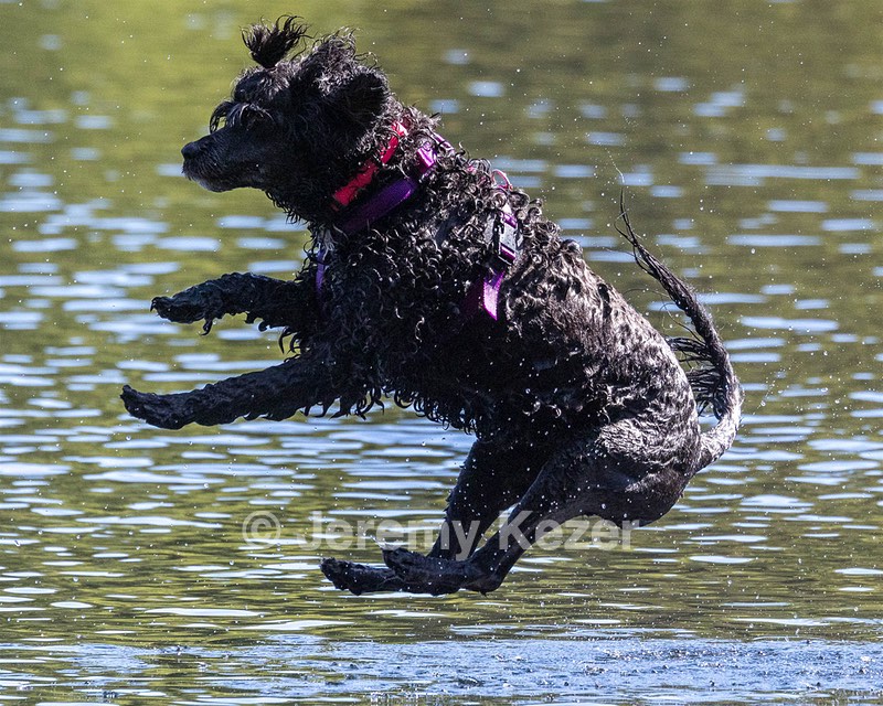 Winnie Lattrell