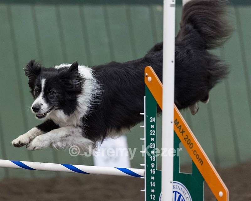 Breeze Schunk