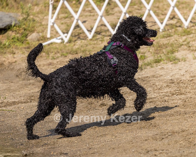 Xena Zussman