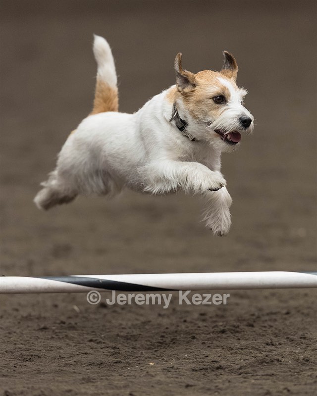 Teddy Caruso