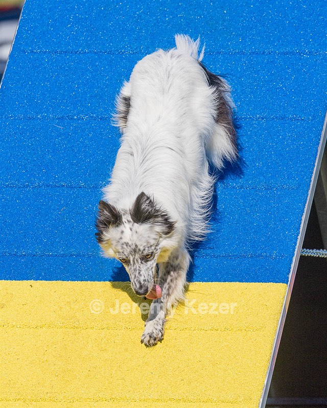 20230917-PVKC-2073.jpg